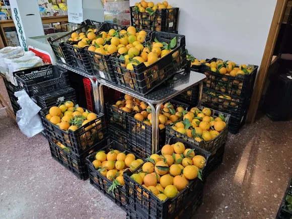 Naranjas LauLedes | Tu Tienda de Naranjas en Vitoria