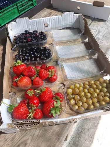 La Fontona Berries
