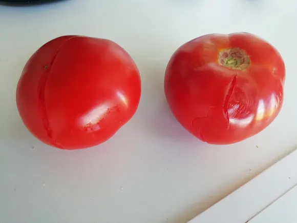 Frutas Luis