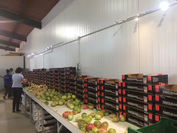 Frutería D'aliste