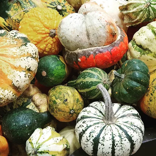 Frutas verduras la mina