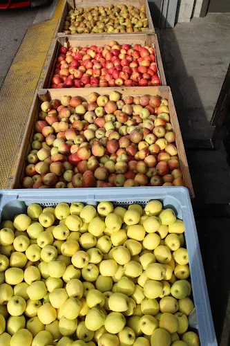 Valma Fruit S.L.