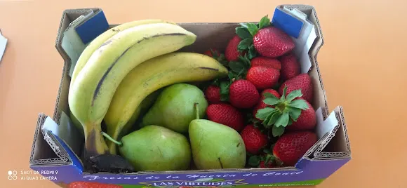 Fruteria Encarni