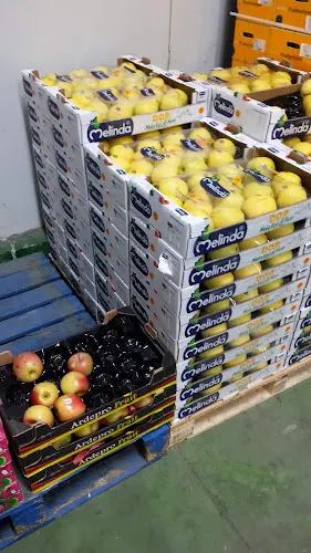 Frutas Zoguero - Frutería en Linea de la Concepcion (La)