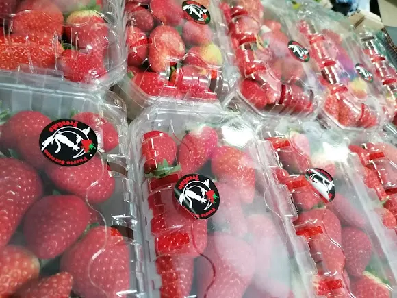 Frutas Y Verduras Frutisol
