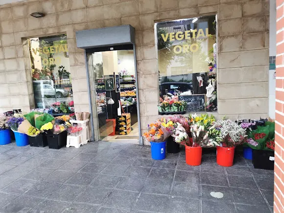 Vegetal Oro Silvia Y Carlos