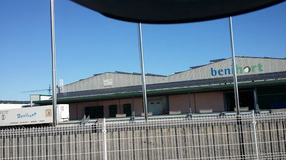 Benihort Frutas y verduras - Benicarló