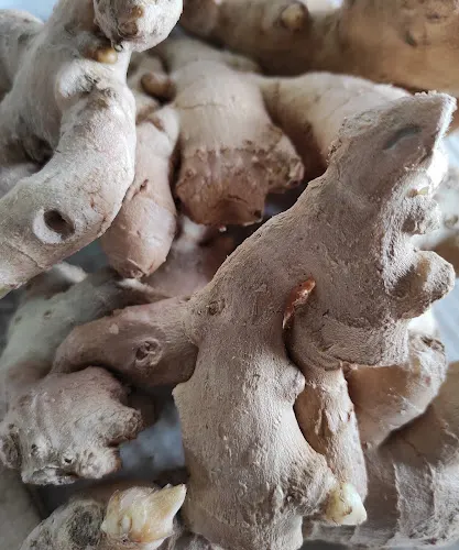 Frutas Megias - Ciudad Real