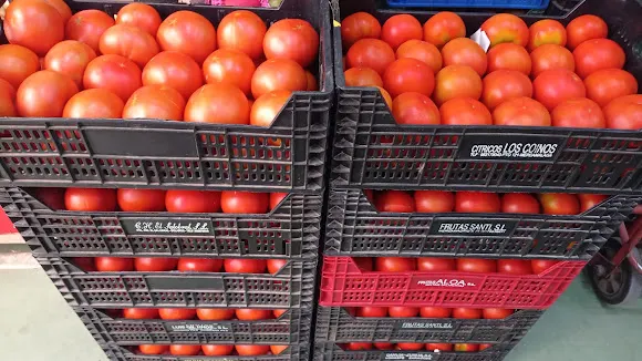 Frutas Ovalle C.B. - Fernan-Nunez
