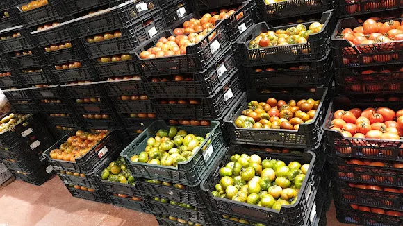 Frutas Hernáiz Hijos S.L. - Cuenca