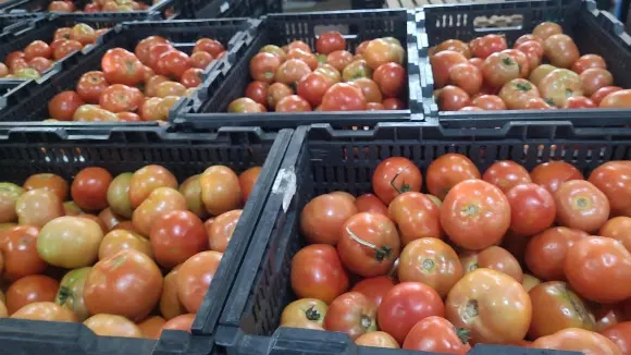 Fruites i verdures Can Jolly