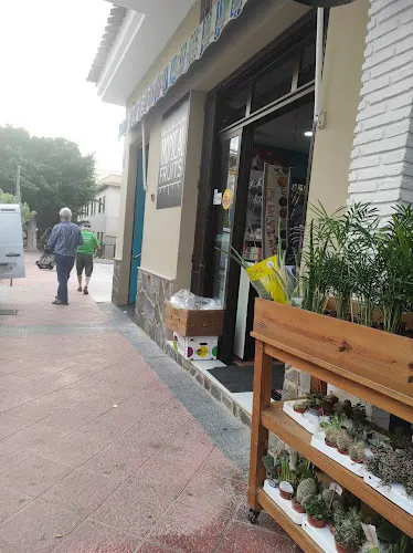 Fruteria Celia - Almuñécar