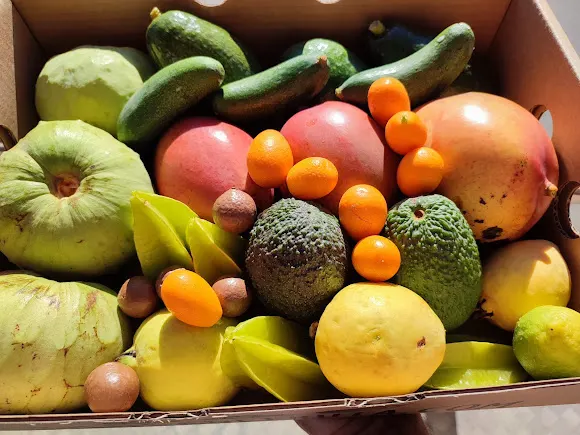 Tienda de Fruta - Almuñécar