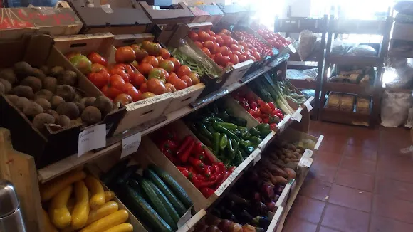 Semillando Sotillo - Tienda Ecológica En Madrid - Coslada