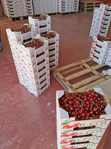 Frutas Rueda C.B.