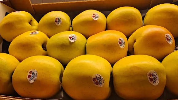 Frutería Seba