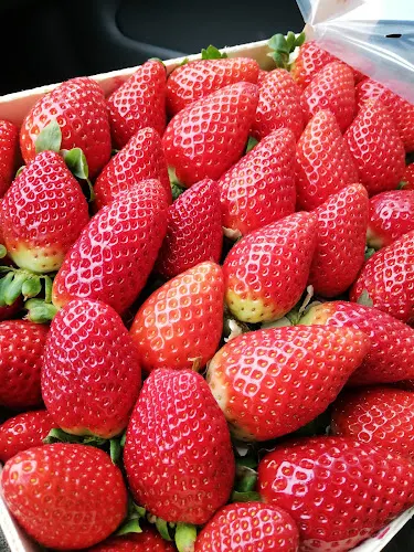 Frutas Muñoz De Marcos, S.L. - Frutería en Fuenmayor