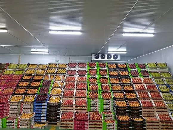 FRUTAS Y VERDURAS RISSANA - Frutería en Cobeja