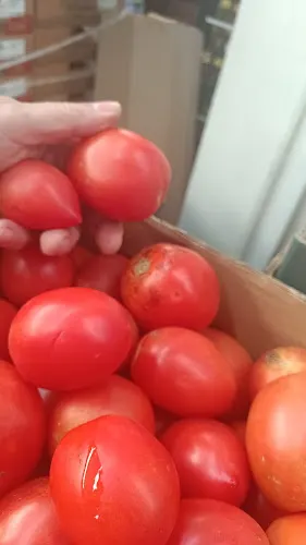 La Huerta de Juanin