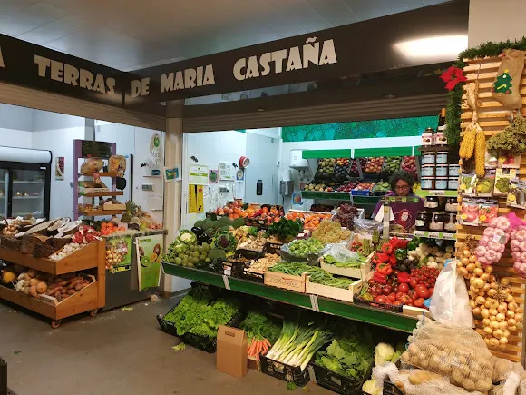 Terras de María Castaña
