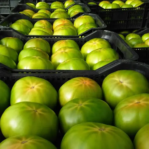 La Huerta de Pancha - Servicio agrícola en Algarrobo