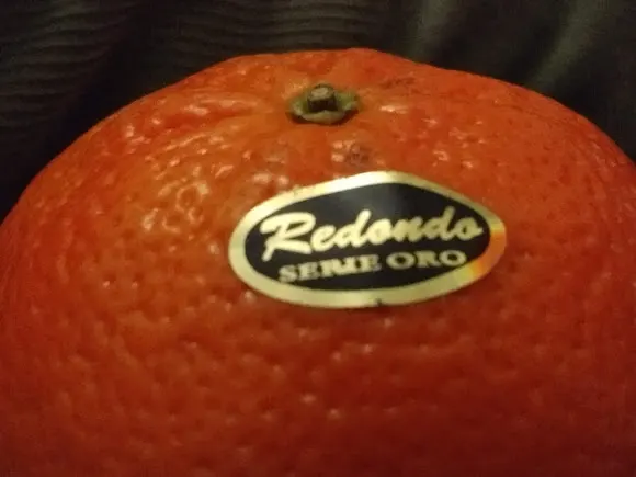 Frutas Redondo S.L