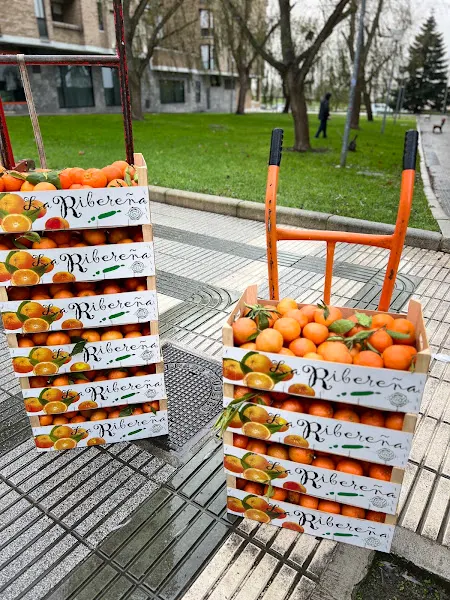 FRUTERIA LOLI - Pamplona/Iruna
