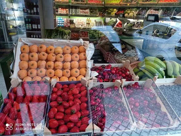 Frutas Iruña