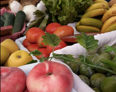Alimentación Cervantes