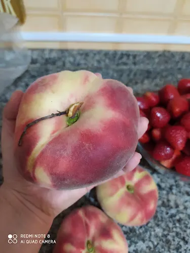 Frutas Raibal