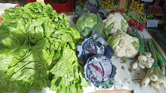 Frutas Mendez