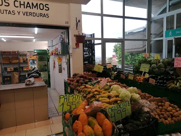 FRUTERIA LOS CHAMOS