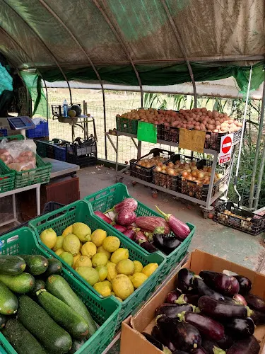 Verduras frente Gavines 111