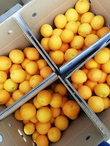Naranjas de Xeraco