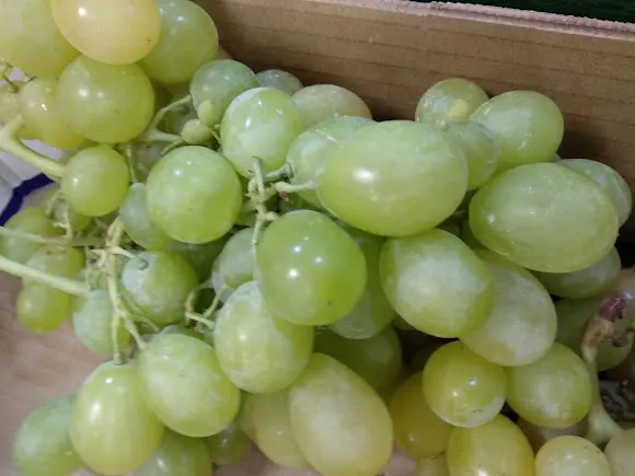 Frutería Macaya