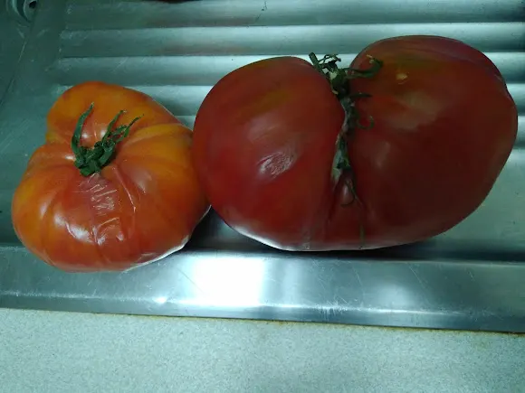 Frutería Mariano Almau - Frutería en Zaragoza